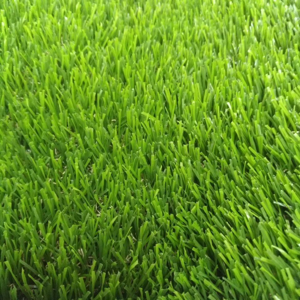 Artificial Grass for Gardens.jpg