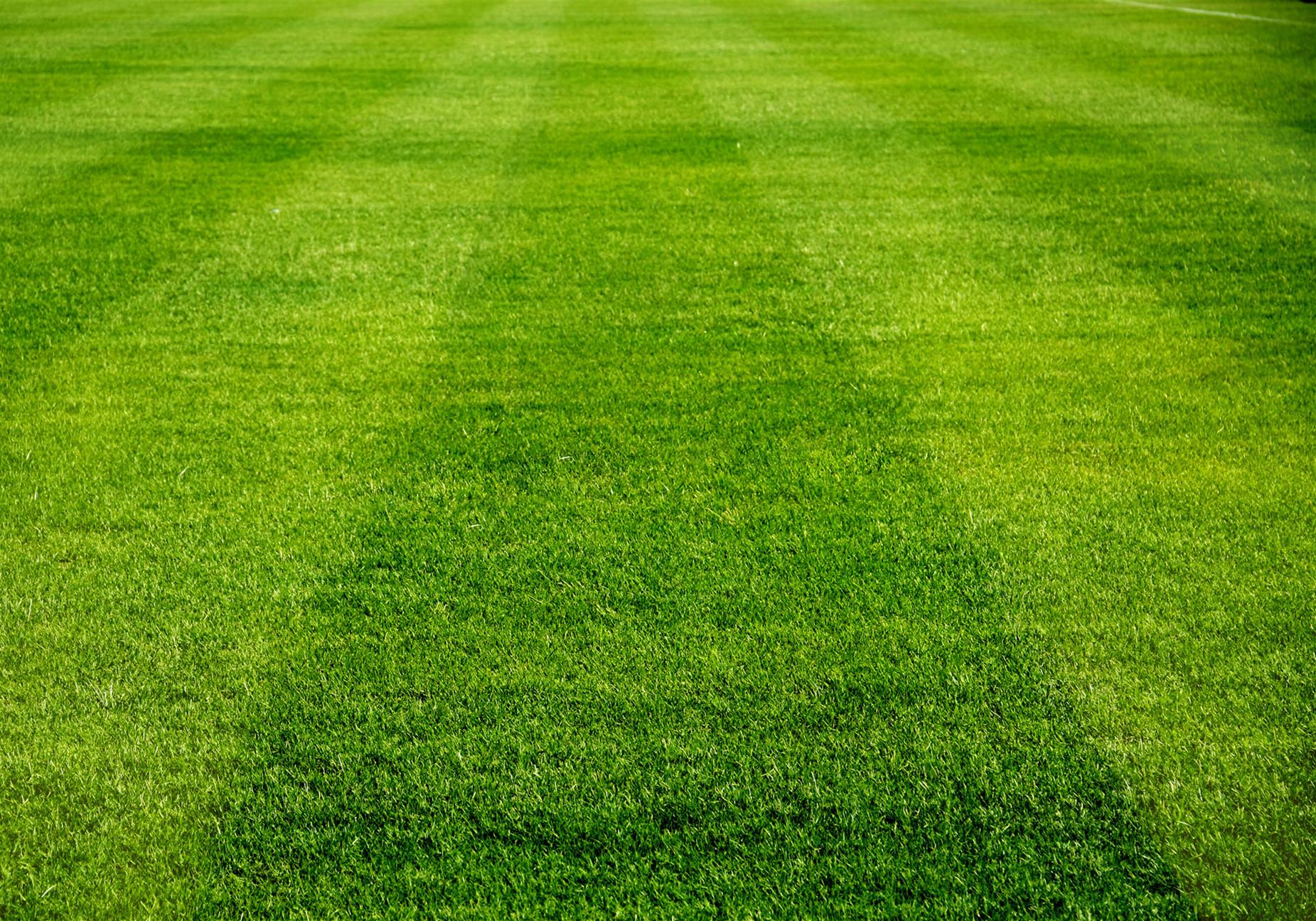 football artificial grass.jpg