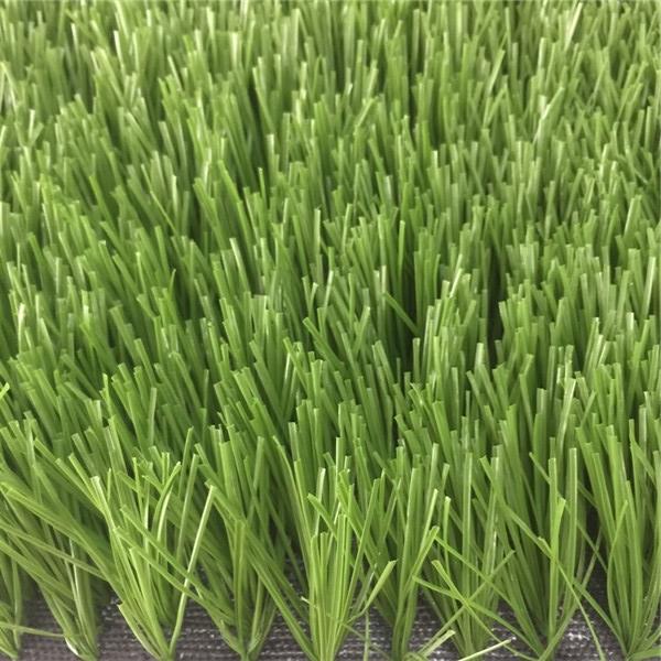 人工芝スポーツフィールド(1) synthetic turf sports fields (1)
