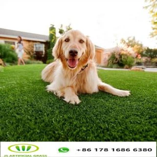 犬のための人工芝
