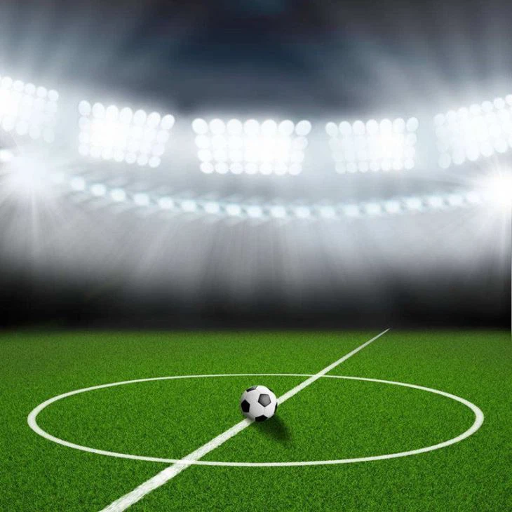 Artificial Grass Dealers