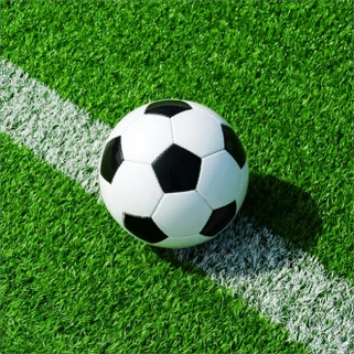 サッカーフィールドグラス
